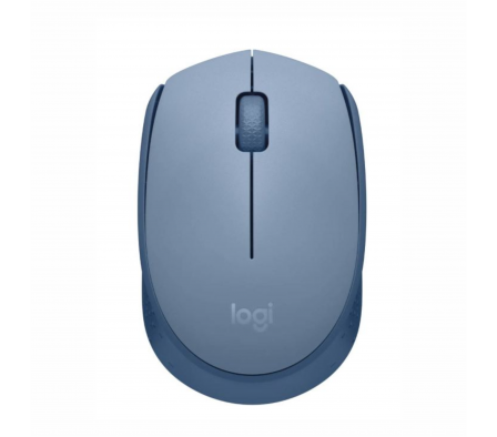 MOUSE LOGITECH M170
